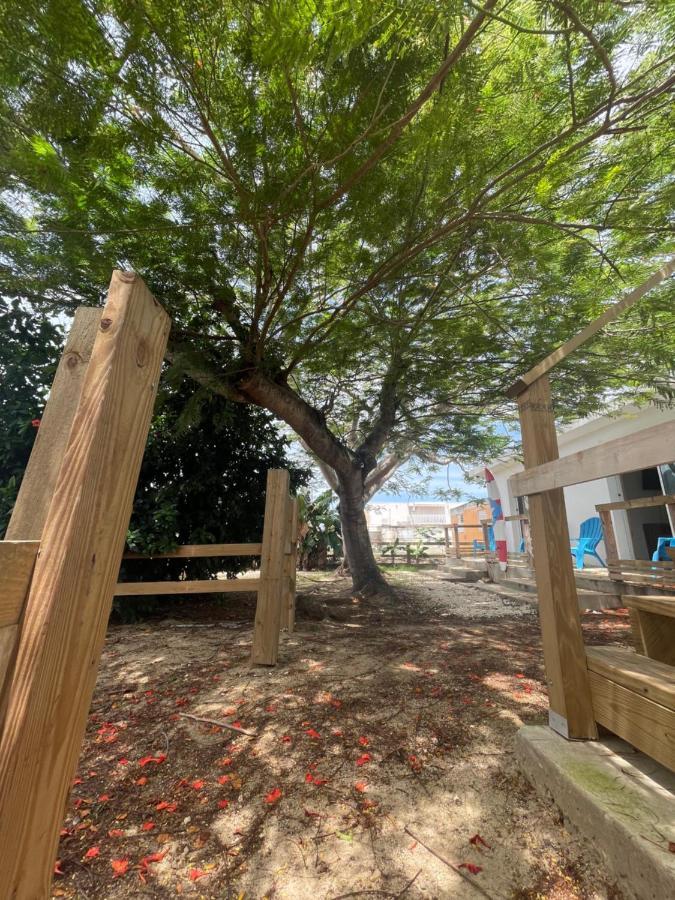 Las Olas Beach Apartments Arecibo Exterior foto